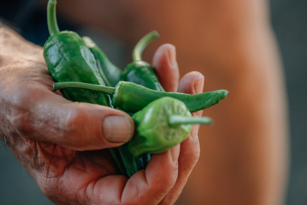 农民手里拿着收获的青椒图片下载