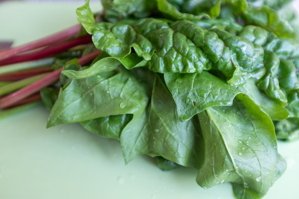 沙拉的叶子。生绿叶蔬菜。甜菜和人金叶用于出版，设计，海报，日历，帖子，屏幕保护程序，壁纸，明信片，横幅，封面，网站。高质量照片图片下载