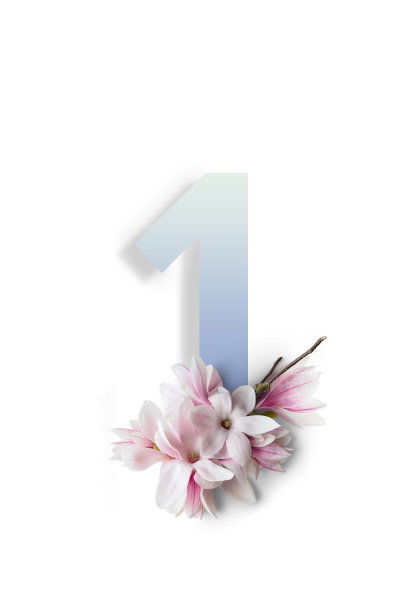 数字在白色背景与木兰花图片下载