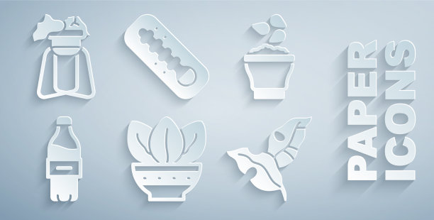 把植物放在花盆里，种子，碗，瓶水图片下载