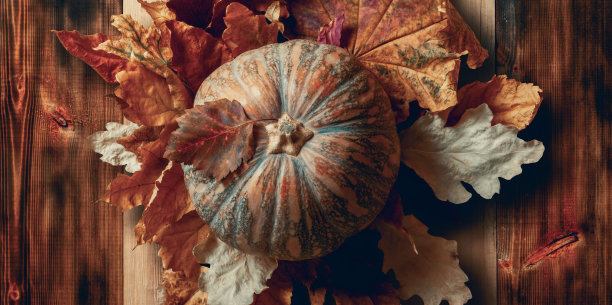 南瓜在各种树木的干叶子和木制的深色和浅色木板背景。秋天，万圣节，感恩节或生态壁纸概念照片。图片下载