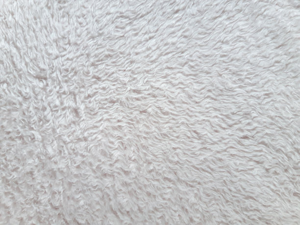 白色毛皮概念图片下载
