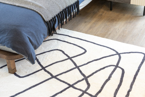 卧室地板上的现代图形地毯。图片下载