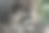 浣熊在树上休息的特写镜头图片下载