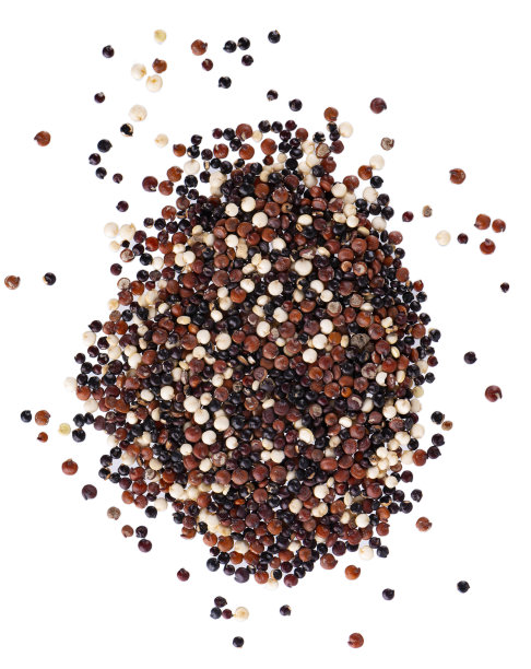 白色背景上分离的藜麦种子。混合白、红、黑藜麦。前视图。图片下载