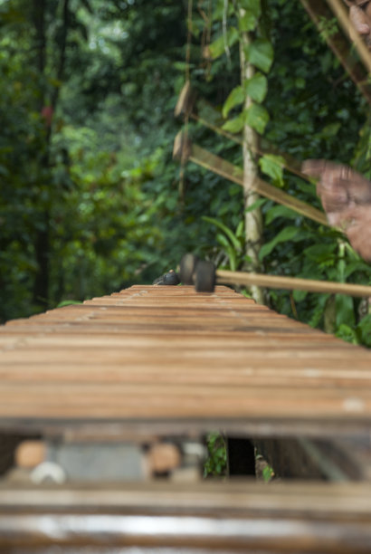 危地马拉的国家乐器，用Hormigo木材制作的马林巴琴键盘。图片下载
