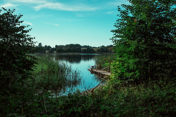 一条小河在茂密的绿叶下，一片安静的回水。图片下载