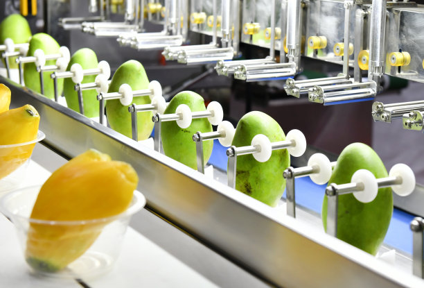 芒果去皮机生产线上的设备机械在工厂图片下载