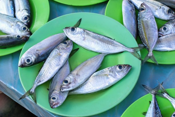 传统的印尼渔人街市场里的新鲜海鱼图片下载