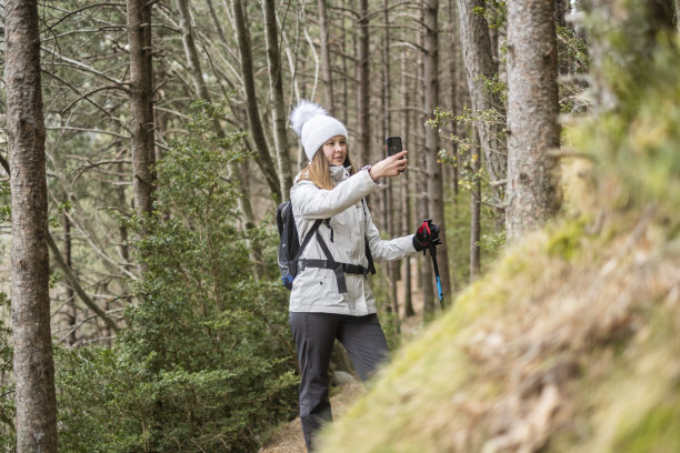 穿过森林的小路图片下载