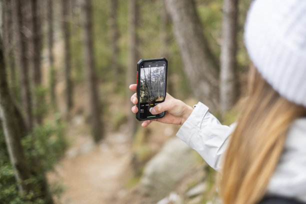 穿过森林的小路图片下载