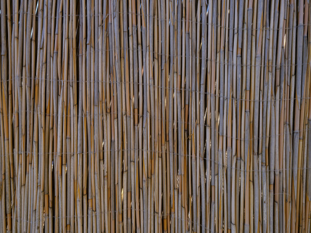 旧芦苇的墙壁纹理图片下载