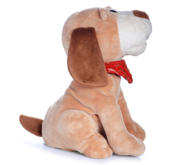 软玩具狗图片下载