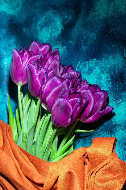 节日的郁金香花束。妇女节，情人节，命名日。在带有反射的深色背景上。图片下载