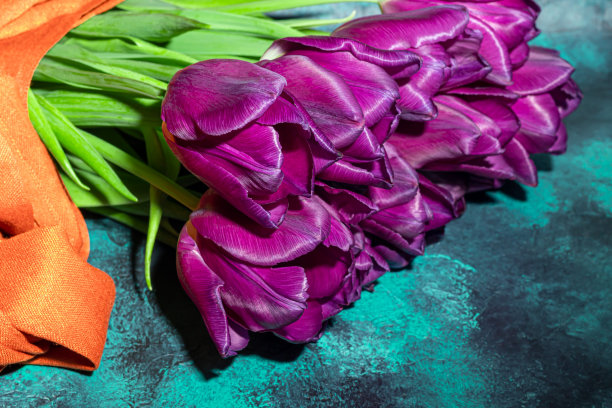 节日的郁金香花束。妇女节，情人节，命名日。在带有反射的深色背景上。图片下载