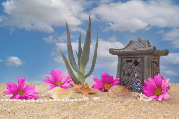 寺庙玩具旁边的芦荟植物周围的粉红色雏菊在海滩上。图片下载