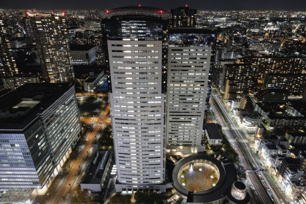 日本东京城市天际线的空中夜景。图片下载