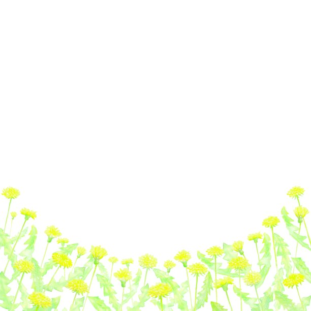 可爱的框架形状蒲公英田。图片下载