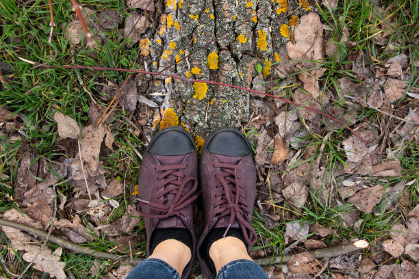 森林土地的背景针从一棵圣诞树和女人的运动鞋顶部视图图片下载