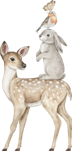 水彩画林地动物。鹿，兔子，鸟和蝴蝶的墙壁贴纸，海报，邀请。完美的育儿室，游戏室，卧室图片下载