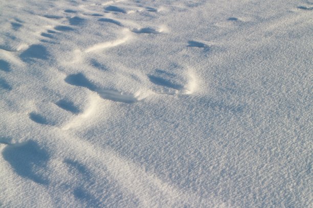 有质感的白雪被冬日低垂的太阳照亮图片下载