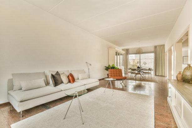 客厅里有白色沙发和地毯图片下载