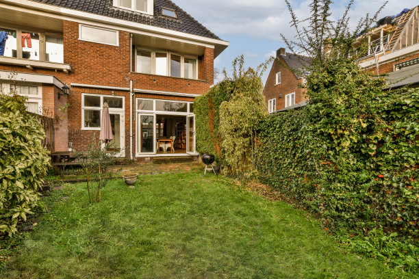 房子的后院，有院子和图片下载