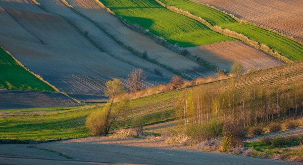 春田的景色。图片下载