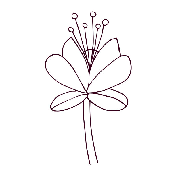 孤立的轮廓可爱的花平面矢量设计图片下载