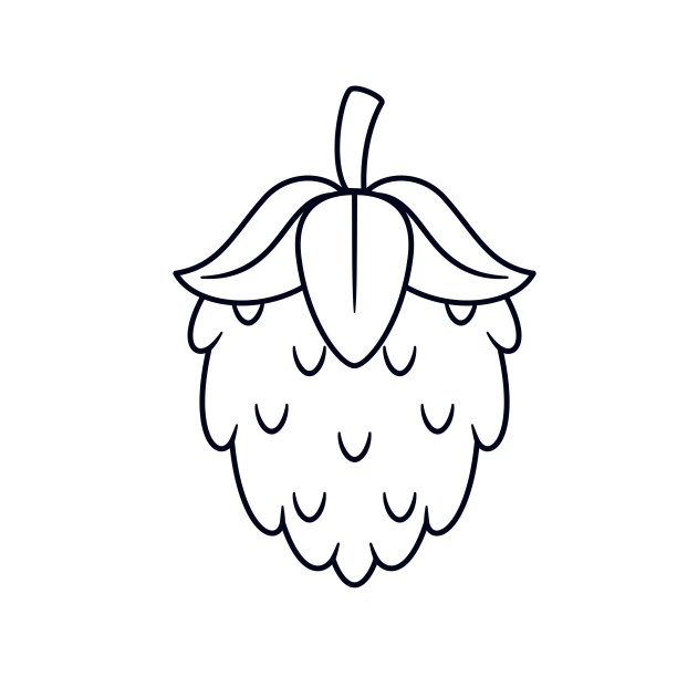 孤立的种子绘制啤酒节矢量插图图片下载