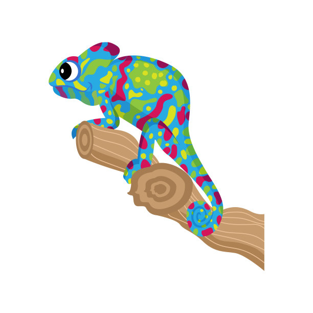孤立的变色龙动画动物矢量插图图片下载