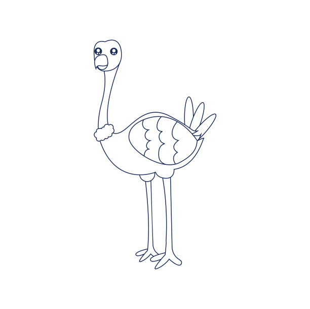 孤立的鸵鸟画鸟动物飞矢量插图图片下载