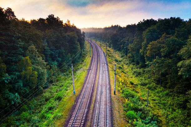 铁路穿过森林。日落或黎明时，铁轨空无一物。图片下载