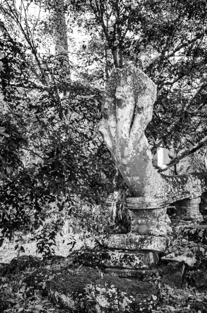 吴哥窟图片下载