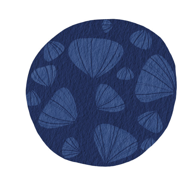 海洋贝壳上的蓝色圆形水彩插图，用于装饰海洋生物和海岸概念。图片下载