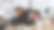 无聊困倦的商务人士在笔记本电脑上工作，打哈欠，在办公室睡着图片下载