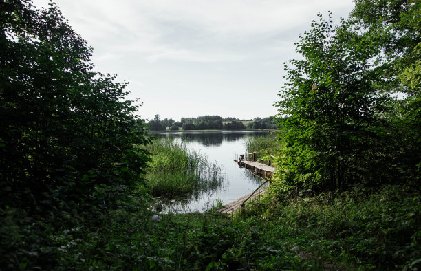 一条小河在茂密的绿叶下，一片安静的回水。图片下载