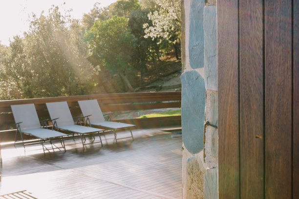 在明亮的阳光下，在花园院子里拍摄三个户外日光浴床图片下载