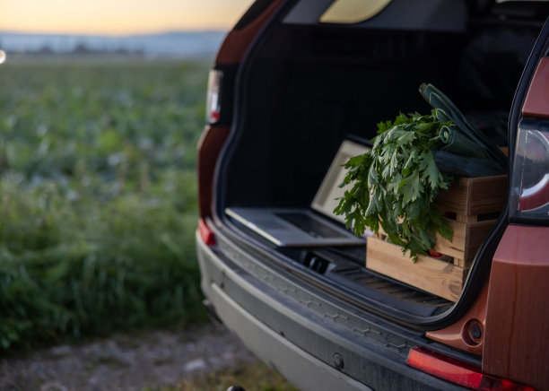 晚上，一辆汽车停在一条农业小路上，车门敞开，后备箱里放着一个装着蔬菜的盒子图片下载