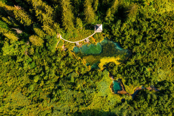 斯洛文尼亚景观的鸟瞰图，绿松石色的soca溪流和大量的树木图片下载