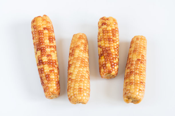 玉米棒子图片下载