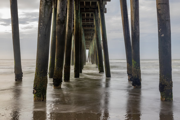 美丽的照片，一排排的木桩基础下的码头在海滩图片下载
