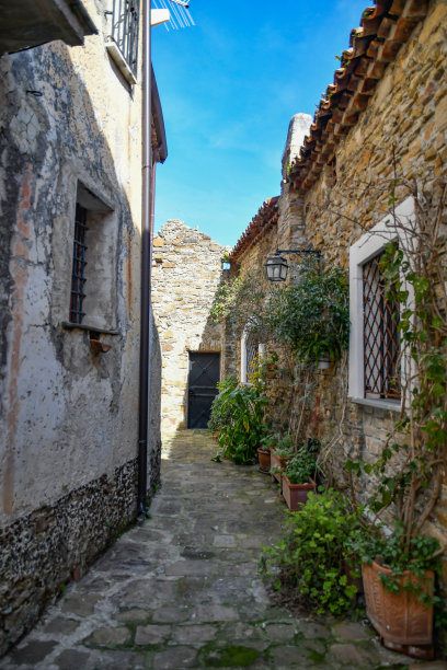 意大利萨莱诺省的建筑和植物的垂直照片图片下载