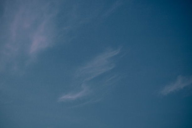 阴天的低角度视图图片下载