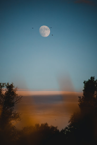 夏日夕阳下的月亮图片下载