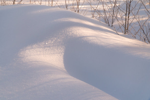 阳光明媚的冬日雪景和树木景观图片下载