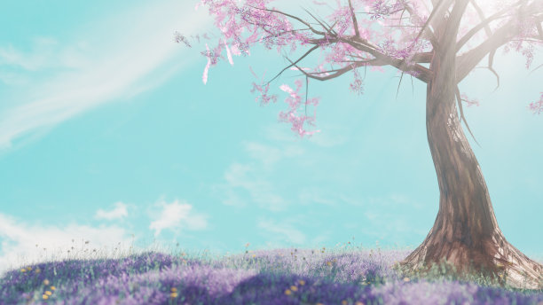 一棵大树和一片草地下的风景。幻想的天性。图片下载