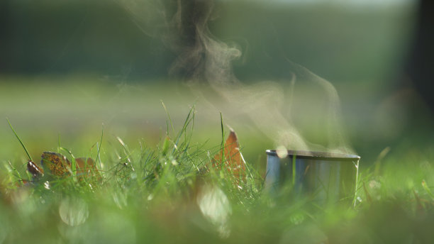 热蒸汽上升保温杯接近。温暖的饮料里放着新鲜的绿草。图片下载