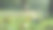 热蒸汽上升保温杯接近。温暖的饮料里放着新鲜的绿草。图片下载