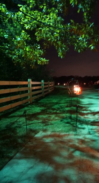 夜晚，绿树成荫的步道被灯笼照亮图片下载